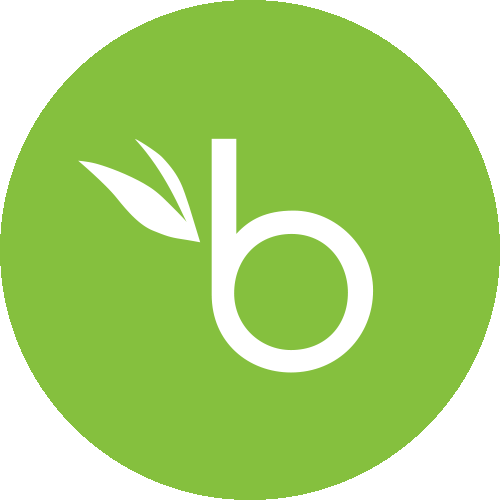 BambooHR logo